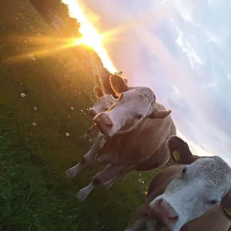 Ln1805-hjorring-rubjergvej-67 度假居